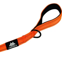 Cerberos Hundkoppel Orange 3 m