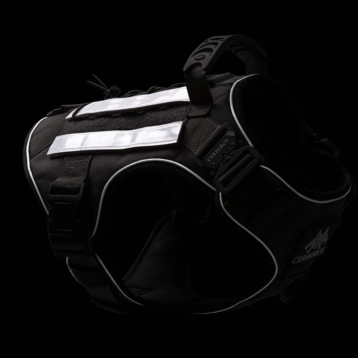 Cerberos Reflexremmar 2 st