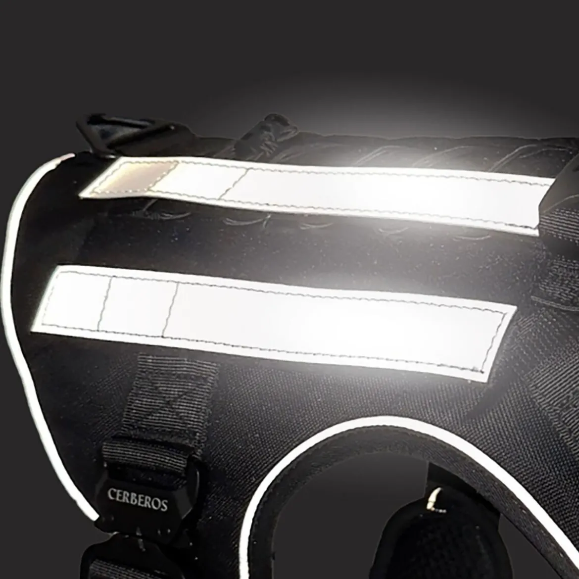 Cerberos Reflexremmar 2 st