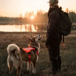 Cerberos Tactical Rescue Hundsele Orange