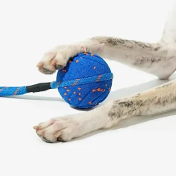 Cheerble Wicked Air Interaktiv Hundboll med Rep Blå