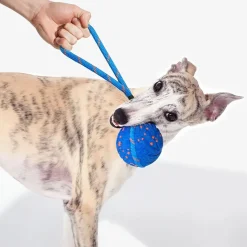 Cheerble Wicked Air Interaktiv Hundboll med Rep Blå