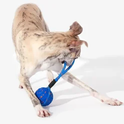 Cheerble Wicked Air Interaktiv Hundboll med Rep Blå