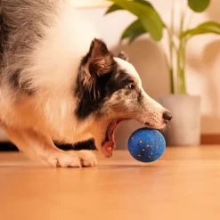 Cheerble Wicked Rugby Interaktiv Hundboll Blå