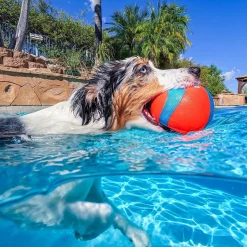 Chuckit Amphibious Flytande Hundboll