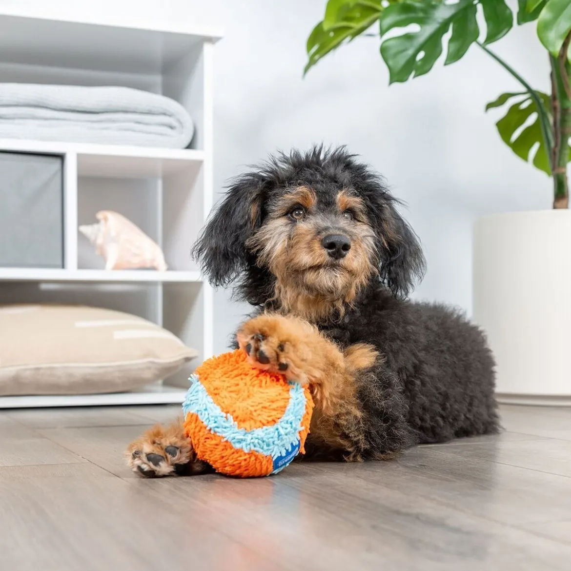 Chuckit Indoor Mjuk Hundboll