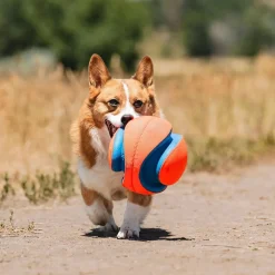 Chuckit Kick Fetch Hundboll L