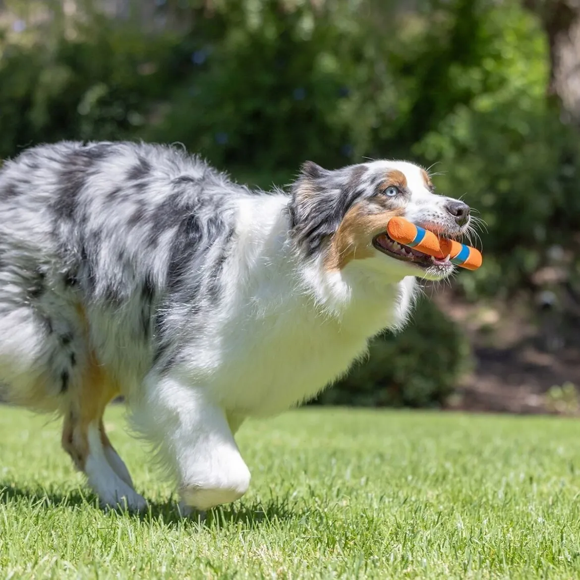 Chuckit Ultra Fetch Stick Hundleksak