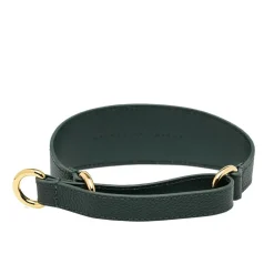 Collar of Sweden Brett Hundhalsband Halvstryp Mörkgrön