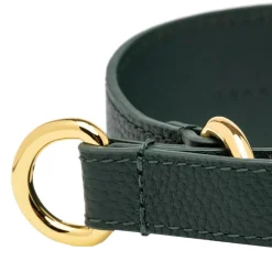 Collar of Sweden Brett Hundhalsband Halvstryp Mörkgrön