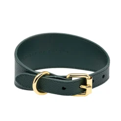 Collar of Sweden Brett Hundhalsband Mörkgrön