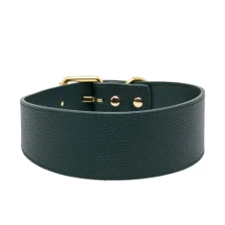 Collar of Sweden Brett Hundhalsband Mörkgrön