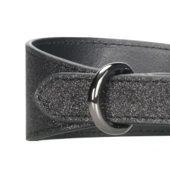 Collar of Sweden Brett Hundhalsband Glitter Svart