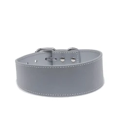 Collar of Sweden Halsband Brett med Reflex