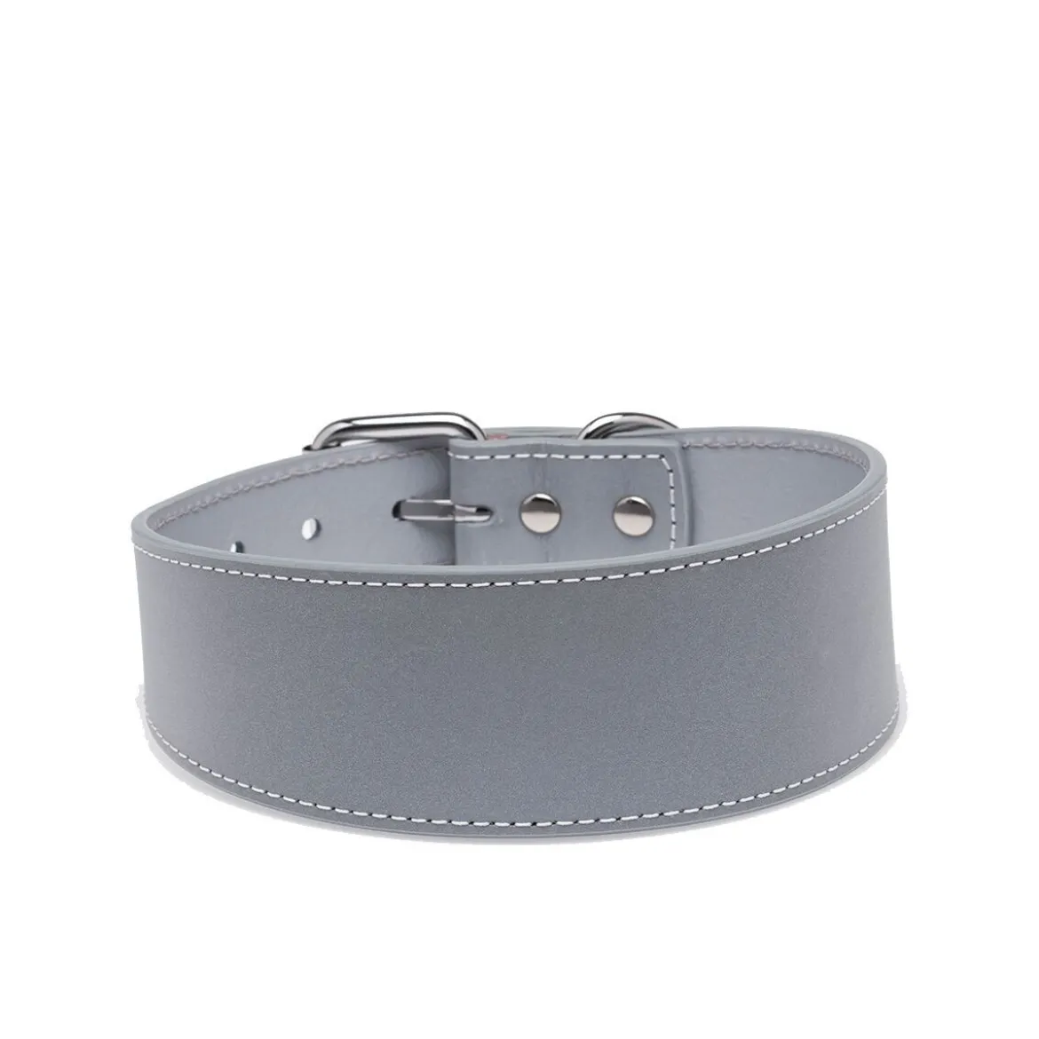 Collar of Sweden Halsband Brett med Reflex