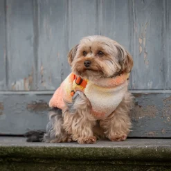 51 Degrees North Jules Hundjacka med Sele Orange Mix