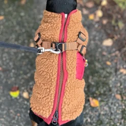 51 Degrees North Jules Kombinerad Hundjacka och Hundsele Brun