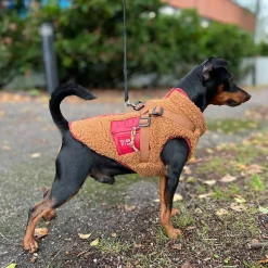 51 Degrees North Jules Kombinerad Hundjacka och Hundsele Brun