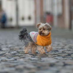 51 Degrees North Turtle Teddy Hundtröja Orange Mix