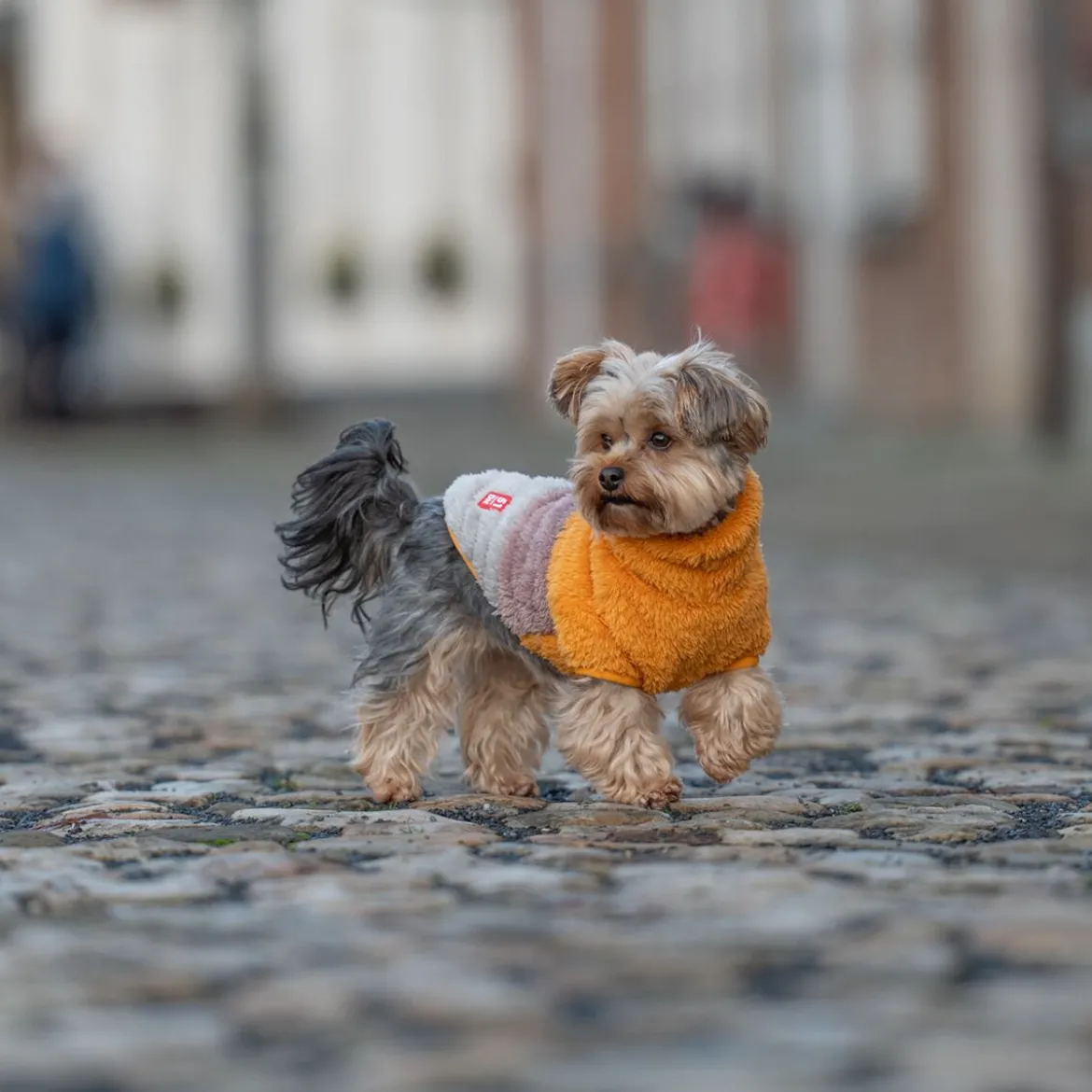 51 Degrees North Turtle Teddy Hundtröja Orange Mix