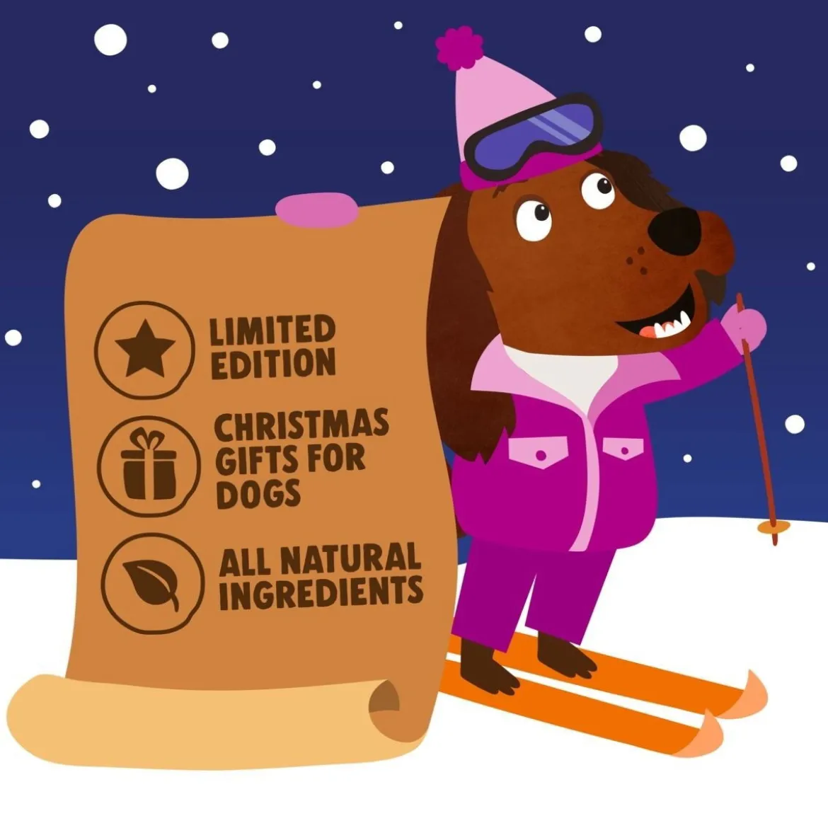 Denzel's Julkalender för Hund 192 g