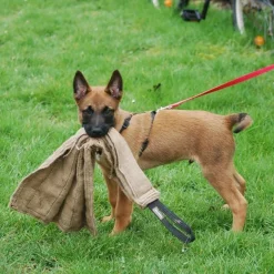 Dingo Gear Kamptrasa i Jute 65 cm