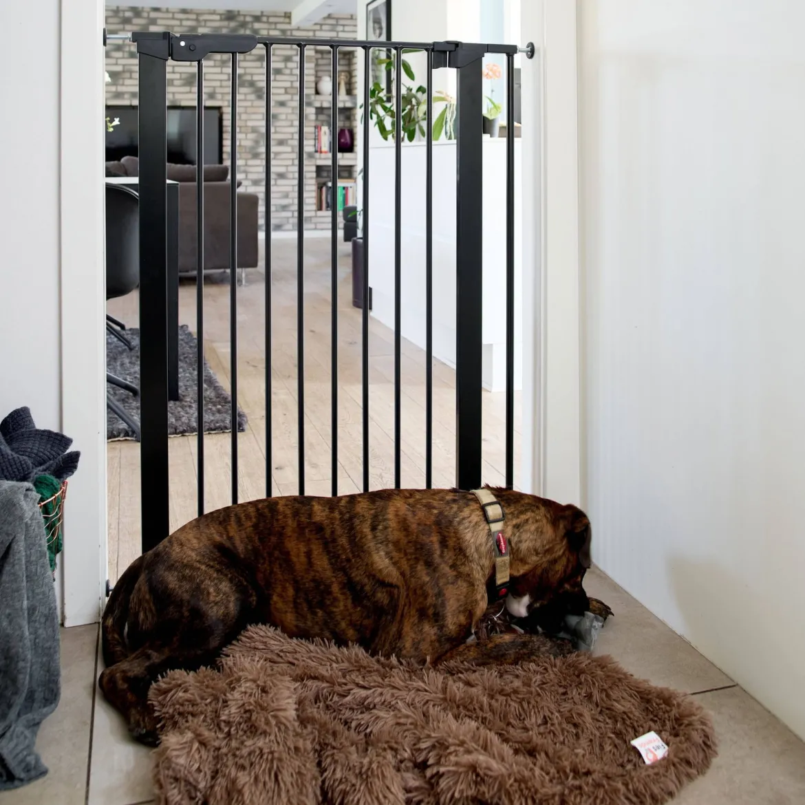 DogSpace Bonnie Hundgrind Svart 73,5-79,6x104,5 cm