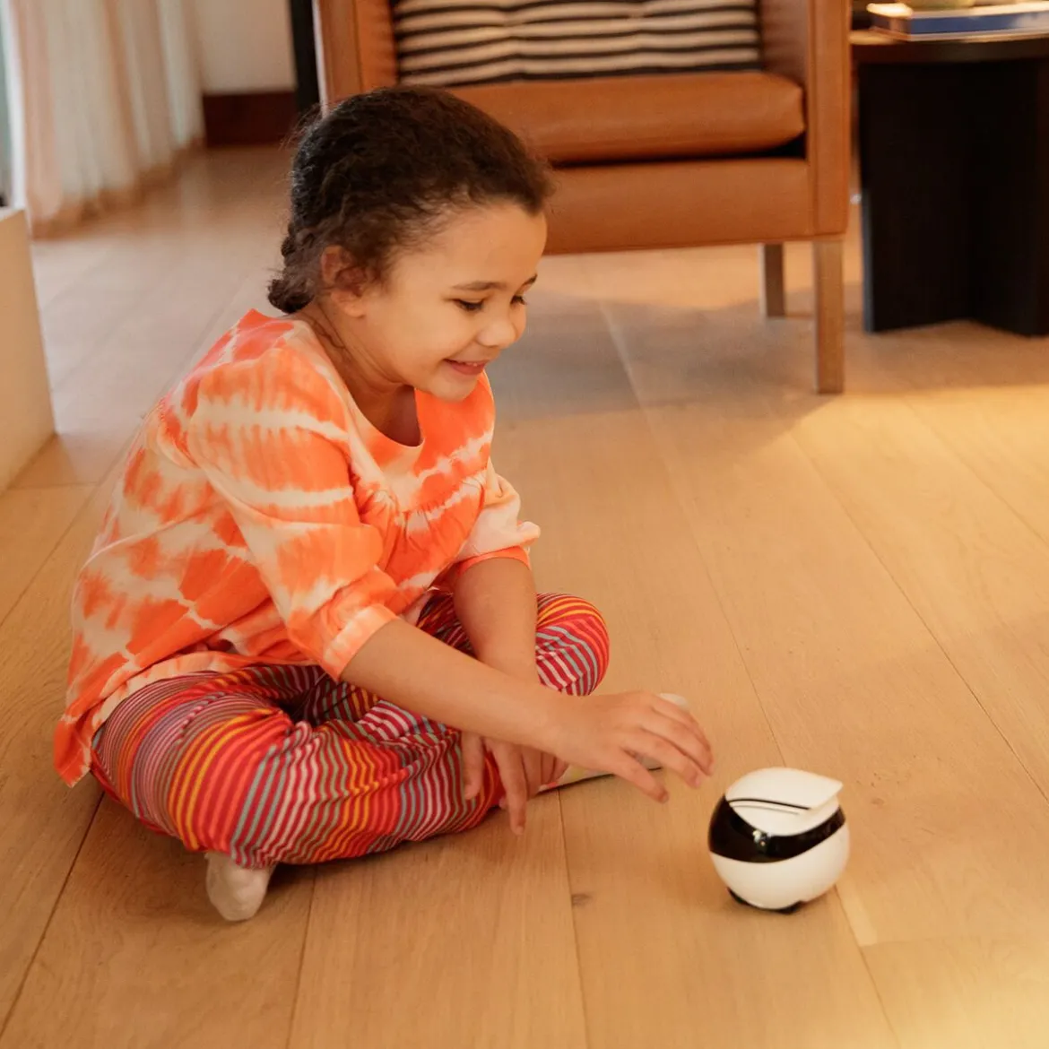 Enabot EBO Air 2 PET Companion Robot Husdjurskamera