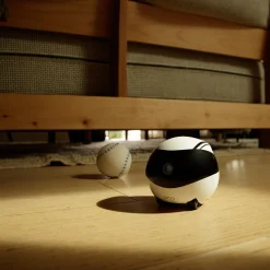 Enabot EBO Air 2 PET Companion Robot Husdjurskamera