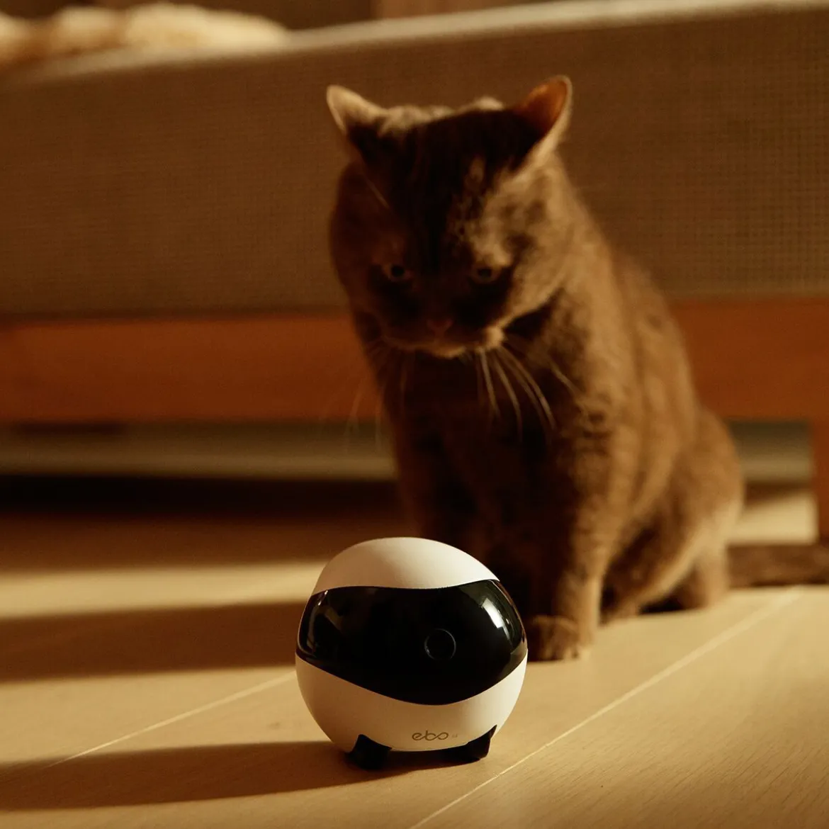 Enabot EBO SE Wireless Camera Robot Husdjurskamera