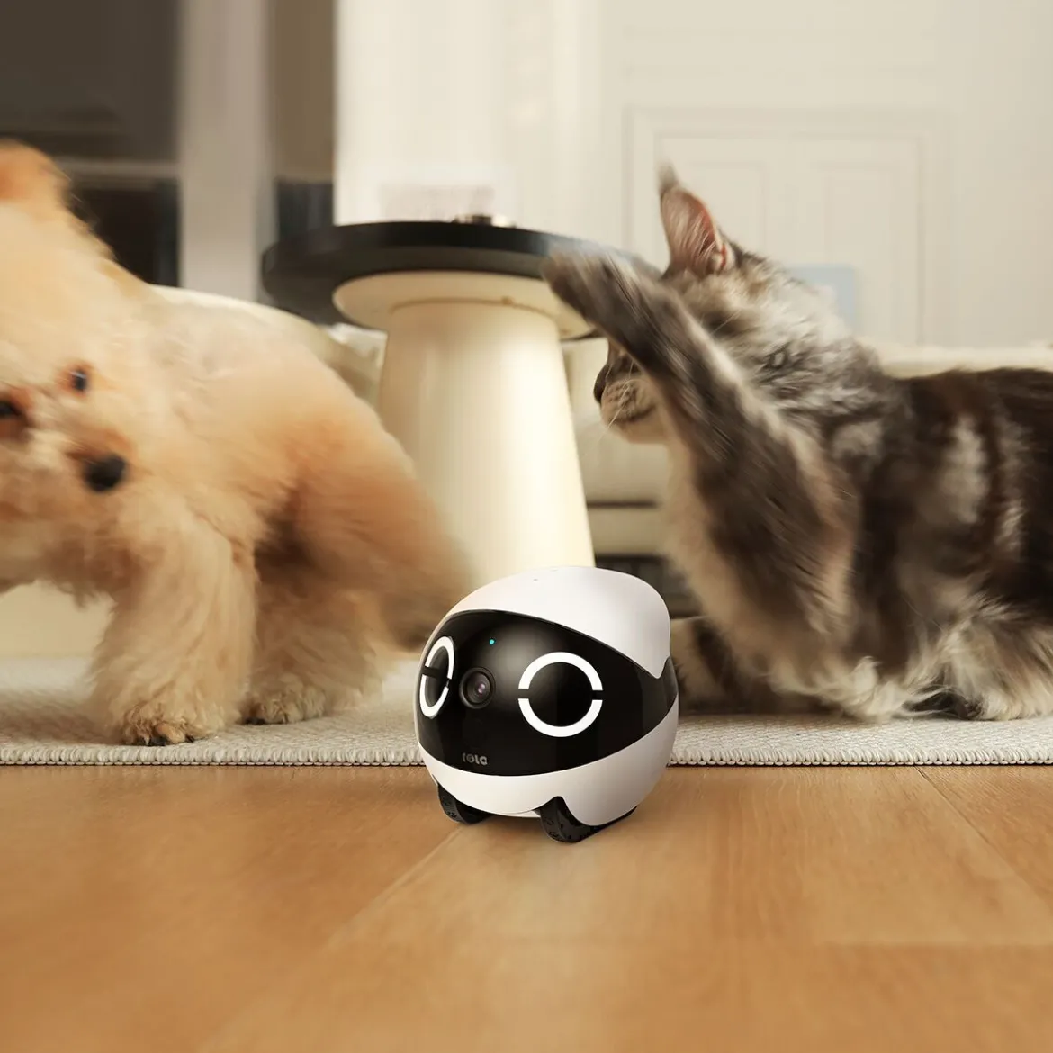 Enabot Rola Mini Companion Robot Husdjurskamera