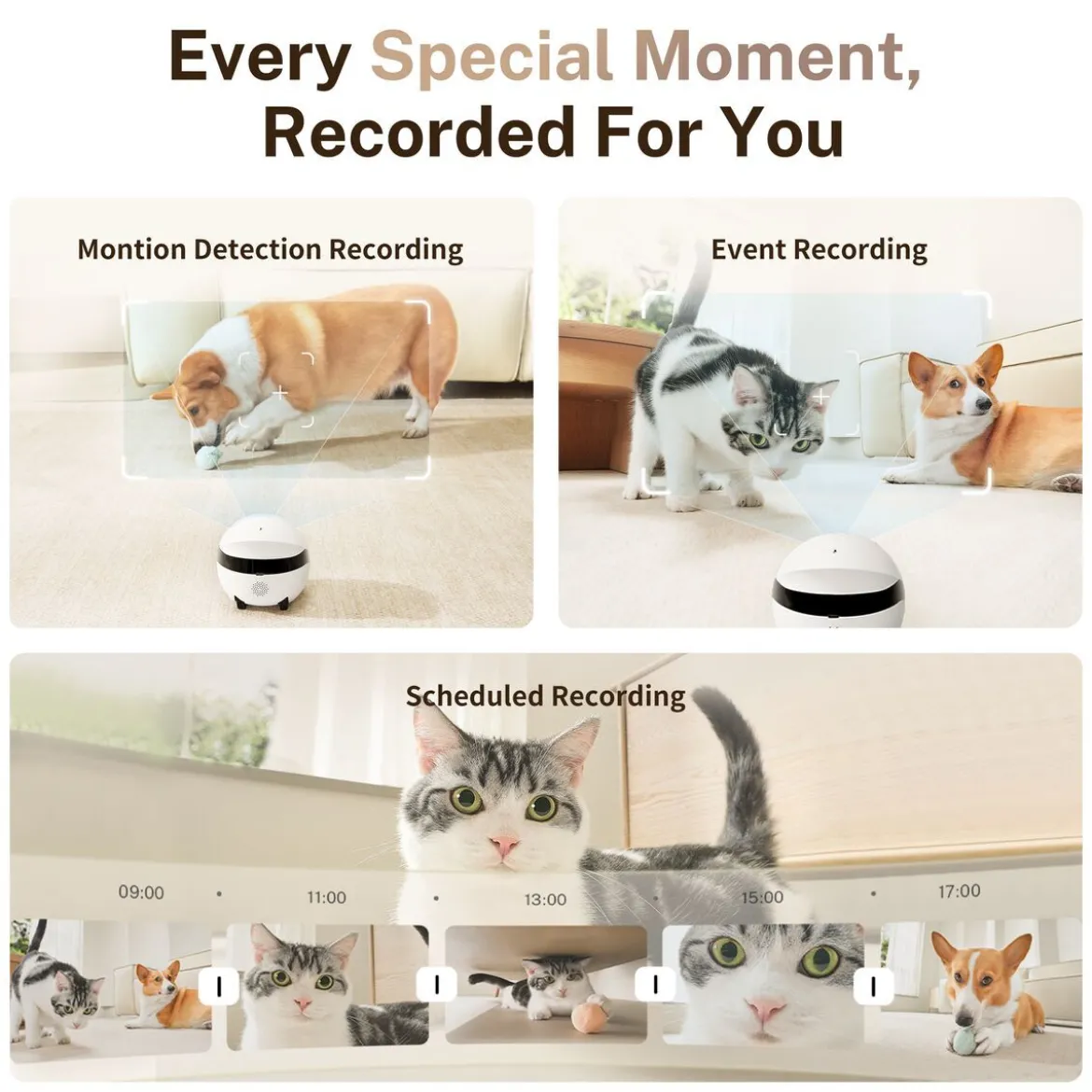 Enabot Rola Mini Companion Robot Husdjurskamera