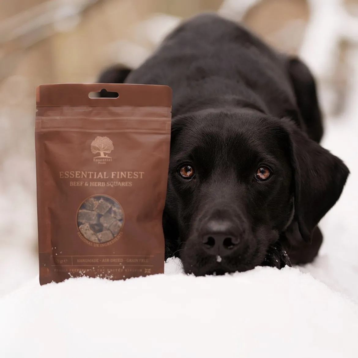 Essential Foods Finest Squares Hundgodis Biff & Örter 125 g