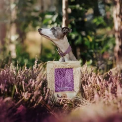 Essential Foods Highland Living Small Breed Torrfoder till Hund 2,5 kg