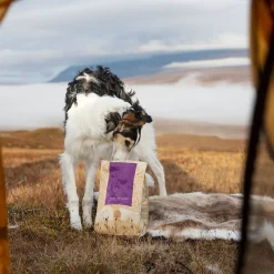 Essential Foods Highland Living Torrfoder till Hund 10 kg