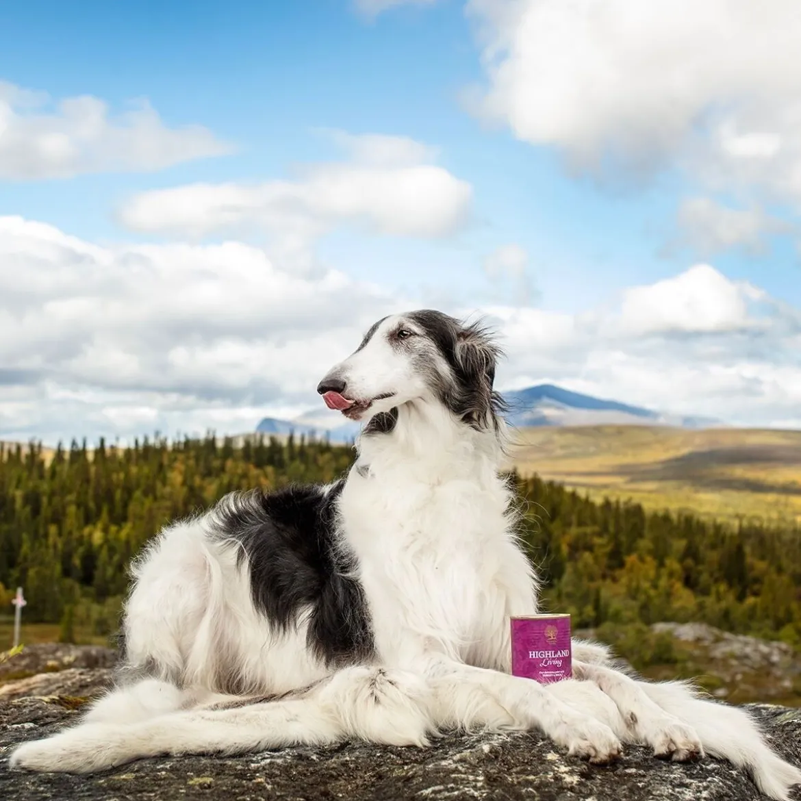 Essential Foods Highland Living Paté Våtfoder till Hund 400 g