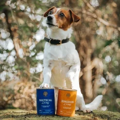 Essential Foods Kingdom Living Paté Våtfoder till Hund 400 g