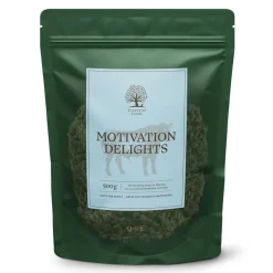 Essential Foods Motivation Delights Träningsgodis Nöt 500 g