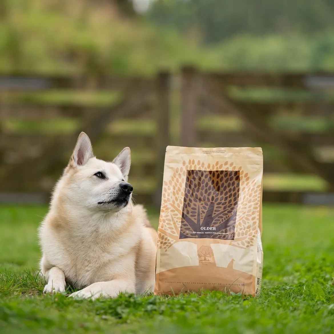 Essential Foods Older Seniorfoder till Hund 10 kg