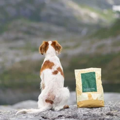Essential Foods Superior Living Torrfoder till Hund 10 kg