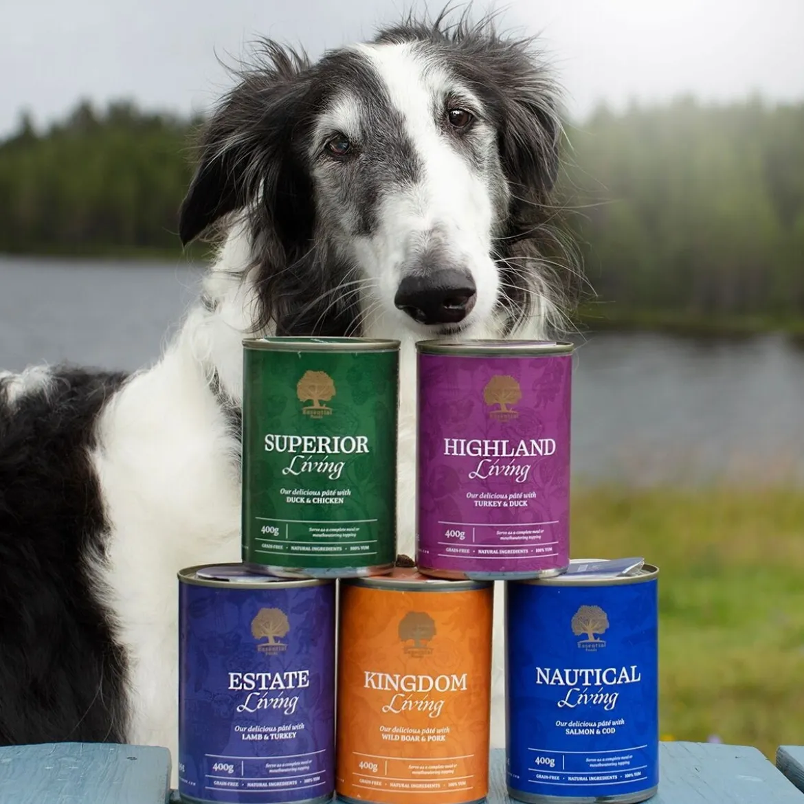 Essential Foods Superior Living Paté Våtfoder till Hund 400 g