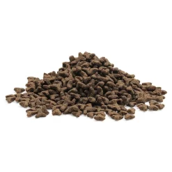 Essential Foods The Little Lion Torrfoder till Kattunge