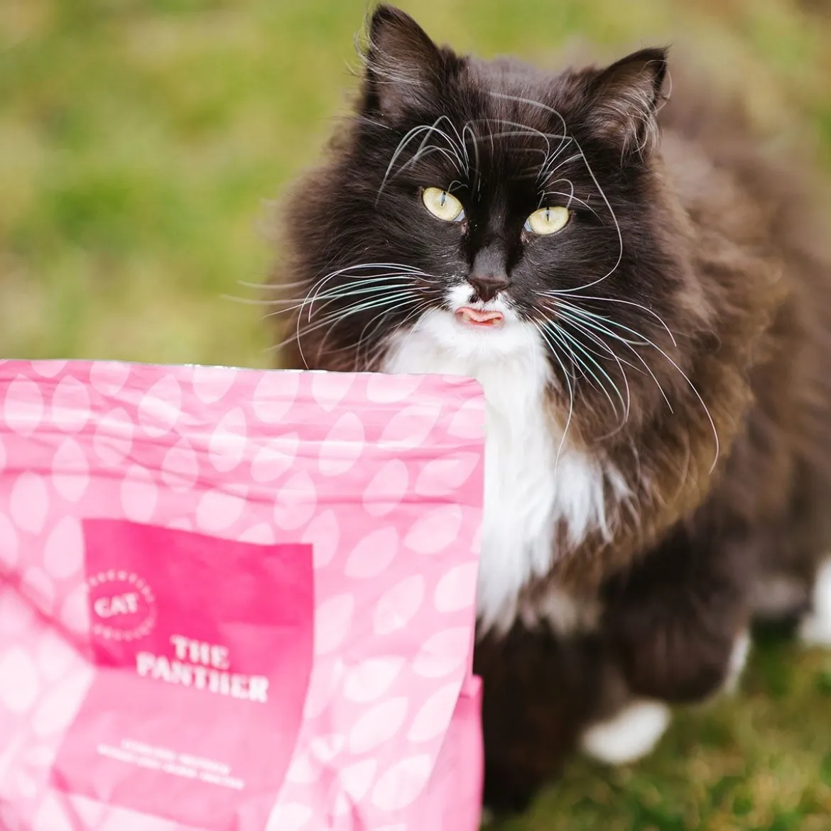 Essential Foods The Panther Torrfoder till Katt