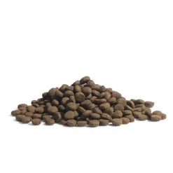 Essential Foods The Panther Torrfoder till Katt