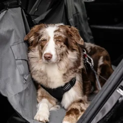 Feel Active Heavy Duty Bilbälte för Hund