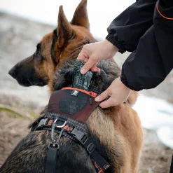 Feel Active Outdoor Hundsele med Ficka Svart