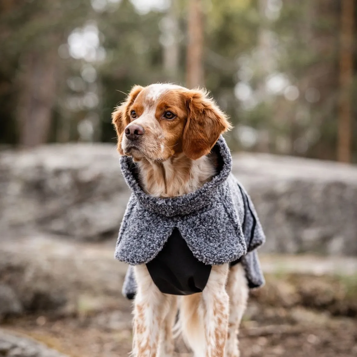 Feel Active Pokka Hundjacka Grå