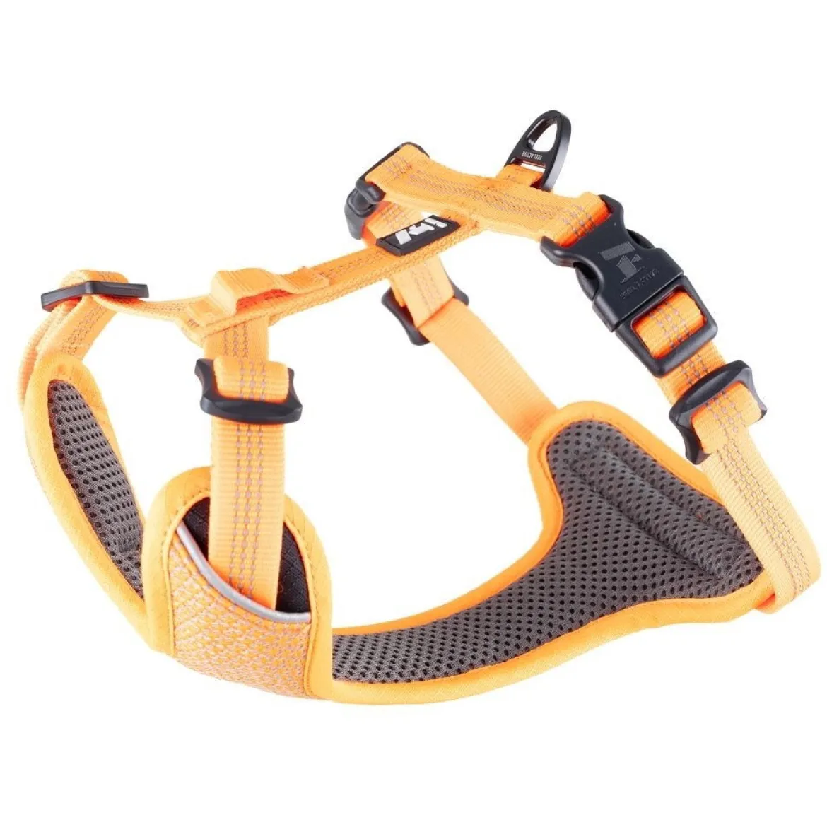 Feel Active Reflective Hundsele Orange