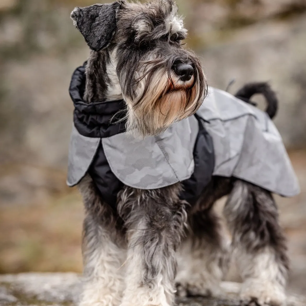 Feel Active Reflective Parka Regnjacka till Hund Grå