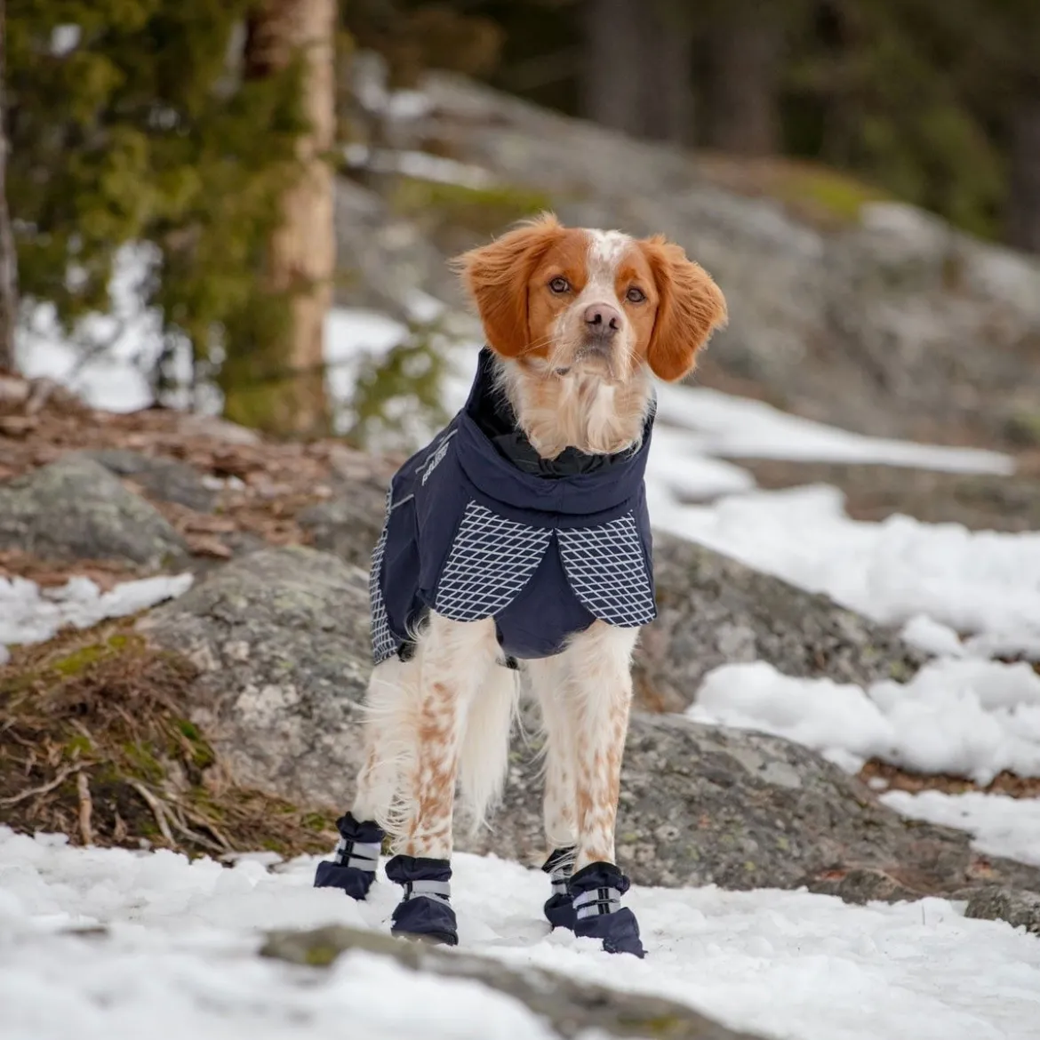 Feel Active Snow Hundstrumpor Blå 2-pack